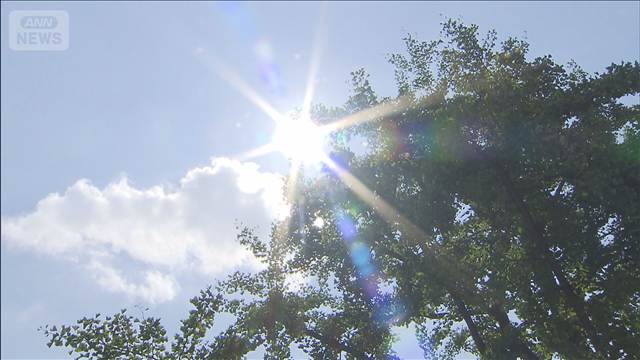 【速報】気温40℃以上 酷暑日 全国で7地点　東京都心でも36.9℃　今年一番の暑さ