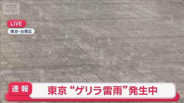 東京都にレベル4大雨危険警報　関東にゲリラ雷雨発生
