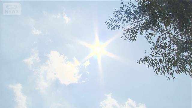 夏休みレジャー「見直す」家庭が6割　物価高で　子ども1人3万円以上が半数超