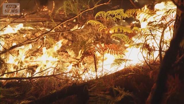 フランスの山火事 発生6日目 22万人避難　ボルドーに迫る