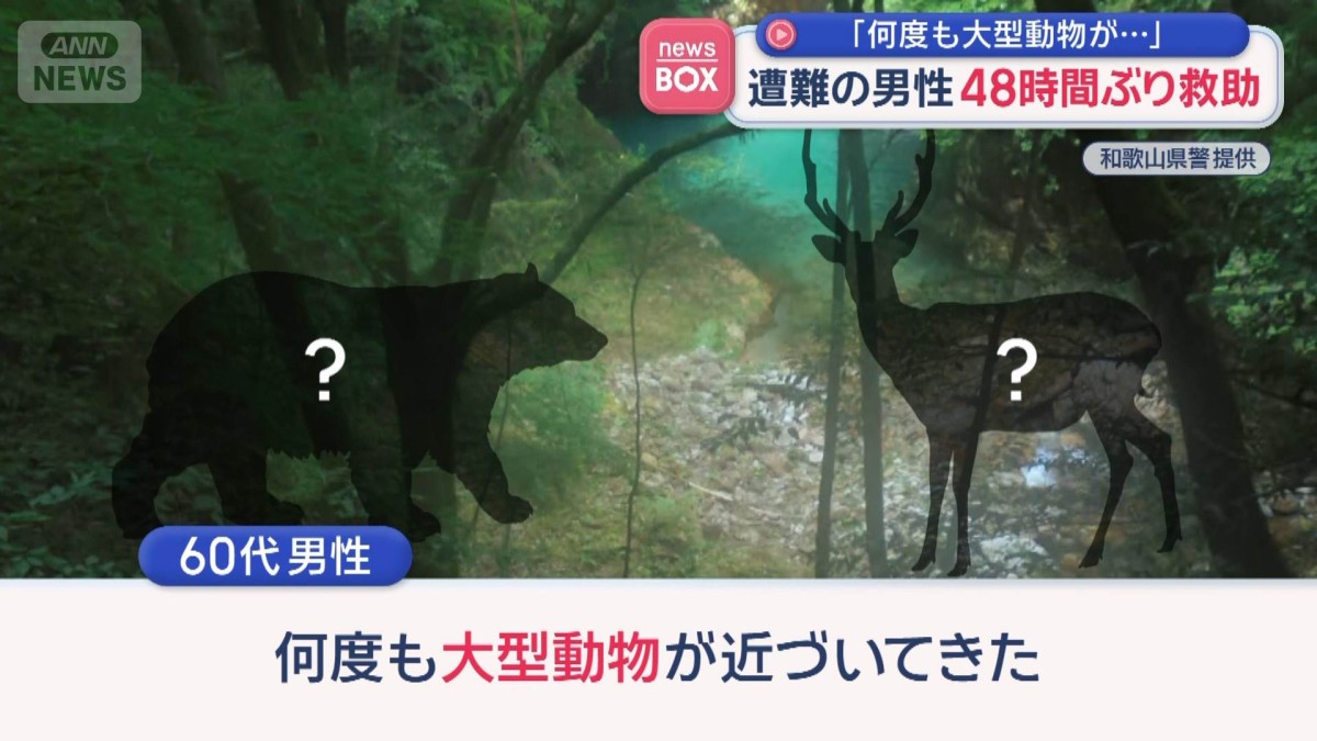 遭難の男性　48時間ぶり救助「何度も大型動物が…」　和歌山