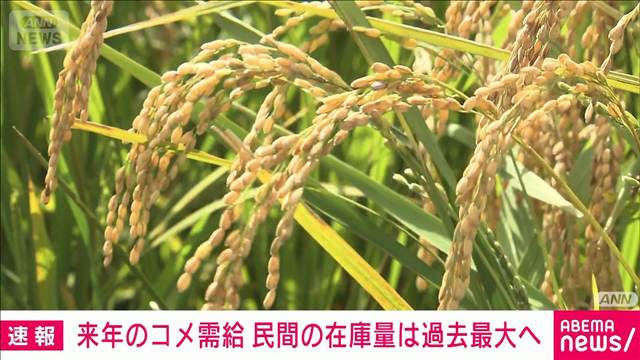 2026年産米の需給見通し　農水省が公表　27年9月の民間在庫　過去最大の今年上回る