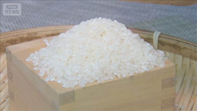 コメ価格が5週連続値下がり　在庫最大・需要以上の生産量… 傾向続きそう