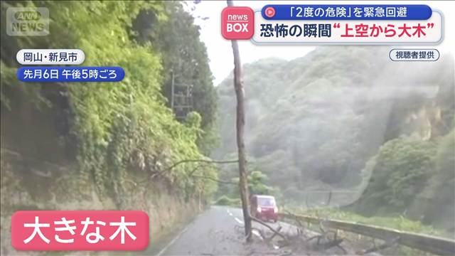 “上空から大木”恐怖の瞬間　「2度の危険」を緊急回避　岡山・新見市