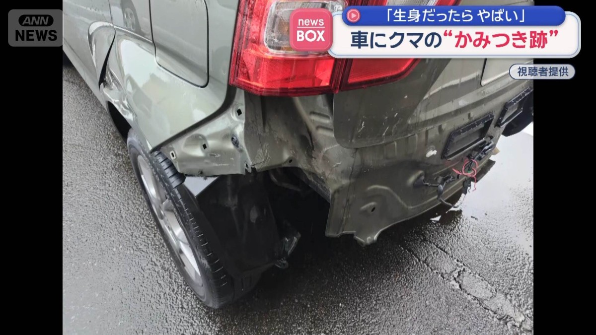 車にクマの“かみつき跡”　「生身だったらやばい」　走行中にクマが衝突