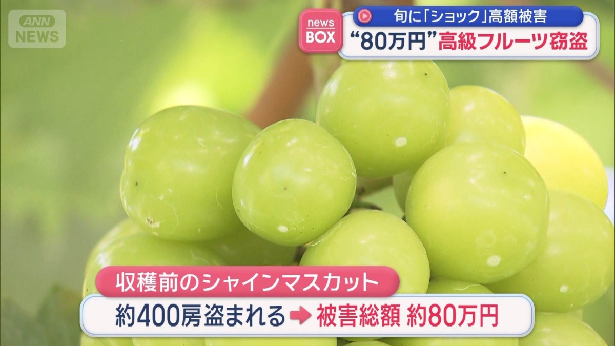 “80万円”高級フルーツ窃盗　旬に「ショック」高額被害