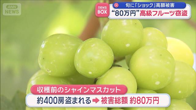 “80万円”高級フルーツ窃盗　旬に「ショック」高額被害