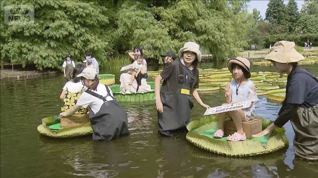 巨大な葉に乗って池をプカプカ　夏休み体験イベント
