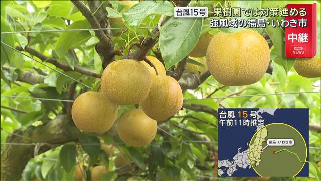 台風15号 福島・いわき市　強風域に入った海岸の様子は　果樹園では対策進める