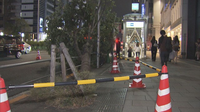 東京メトロ・表参道駅の近くで倒木　街路樹が車道の一部をふさぐ　風の影響か