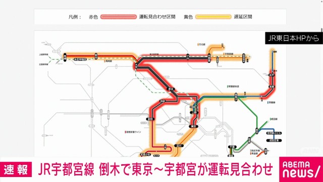 【速報】宇都宮線は倒木の影響で東京－宇都宮駅の上下線で運転見合わせ　JR東日本