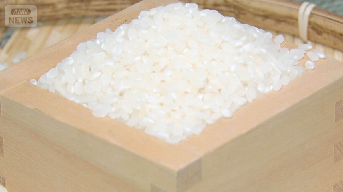 コメ平均価格　7週ぶり値上がり　依然として安値続く