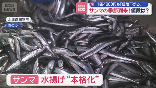 サンマの季節到来！値段は？　1匹4000円も「値段下がる」