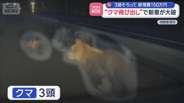 “クマ飛び出し”で新車が大破　3頭そろって　修理費150万円