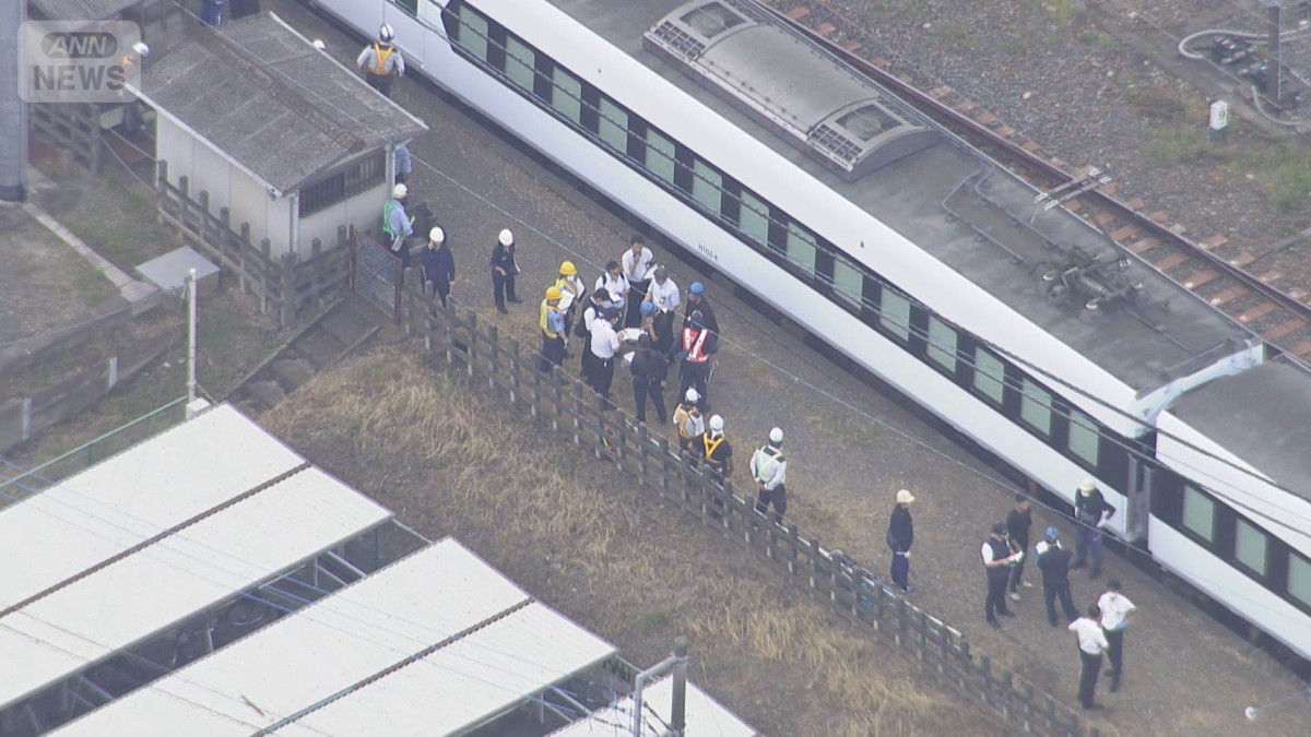 東武日光線事故 見張り員「所定位置に着く前になぜか除草作業が始まっていた…」のサムネイル