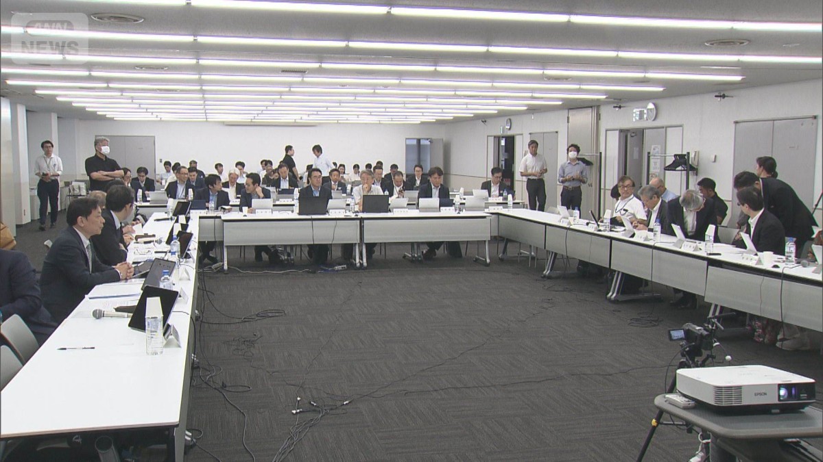「OTC類似薬」の追加負担　アトピーの「プロアクティブ療法」の除外を検討へ