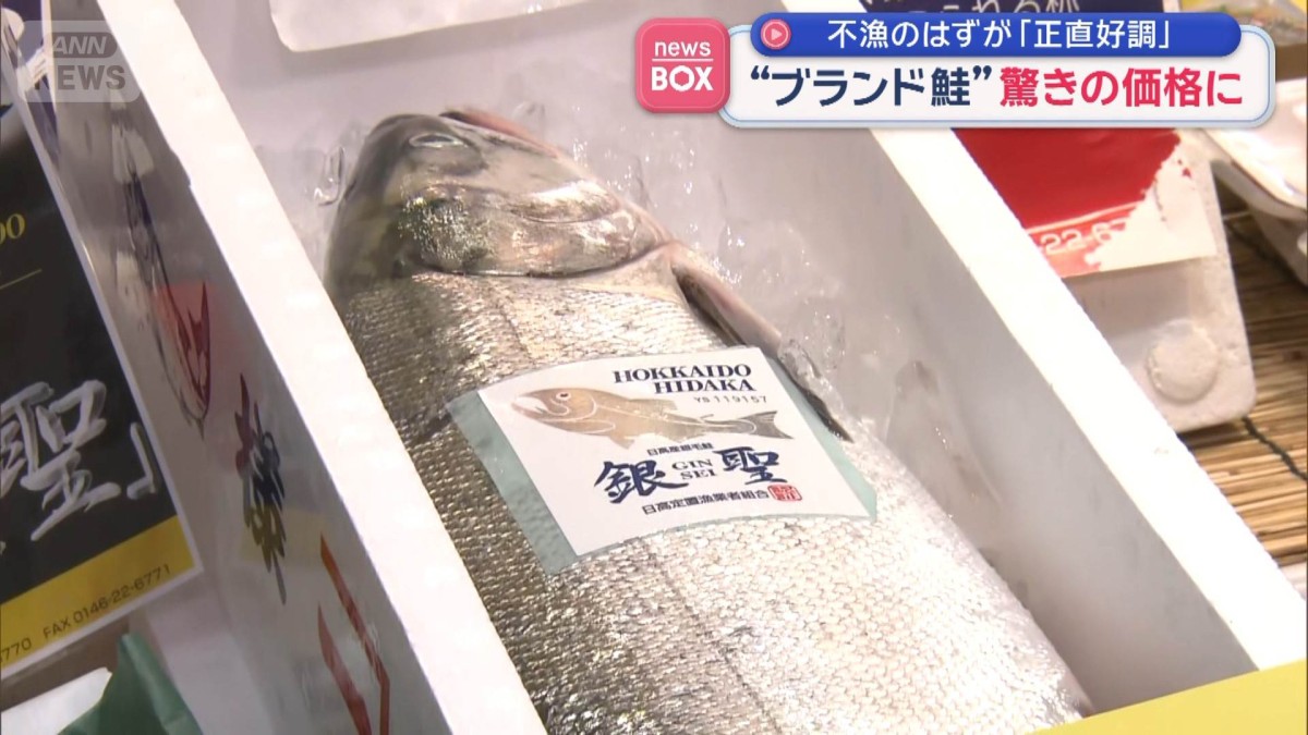 サケ不漁のはずが“驚き価格” 「正直好調」ブランド鮭は…？