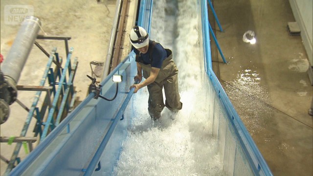 冠水路の歩行は「スニーカー推奨」車両浸水時は「スライドドアに注意」体験ロケで検証