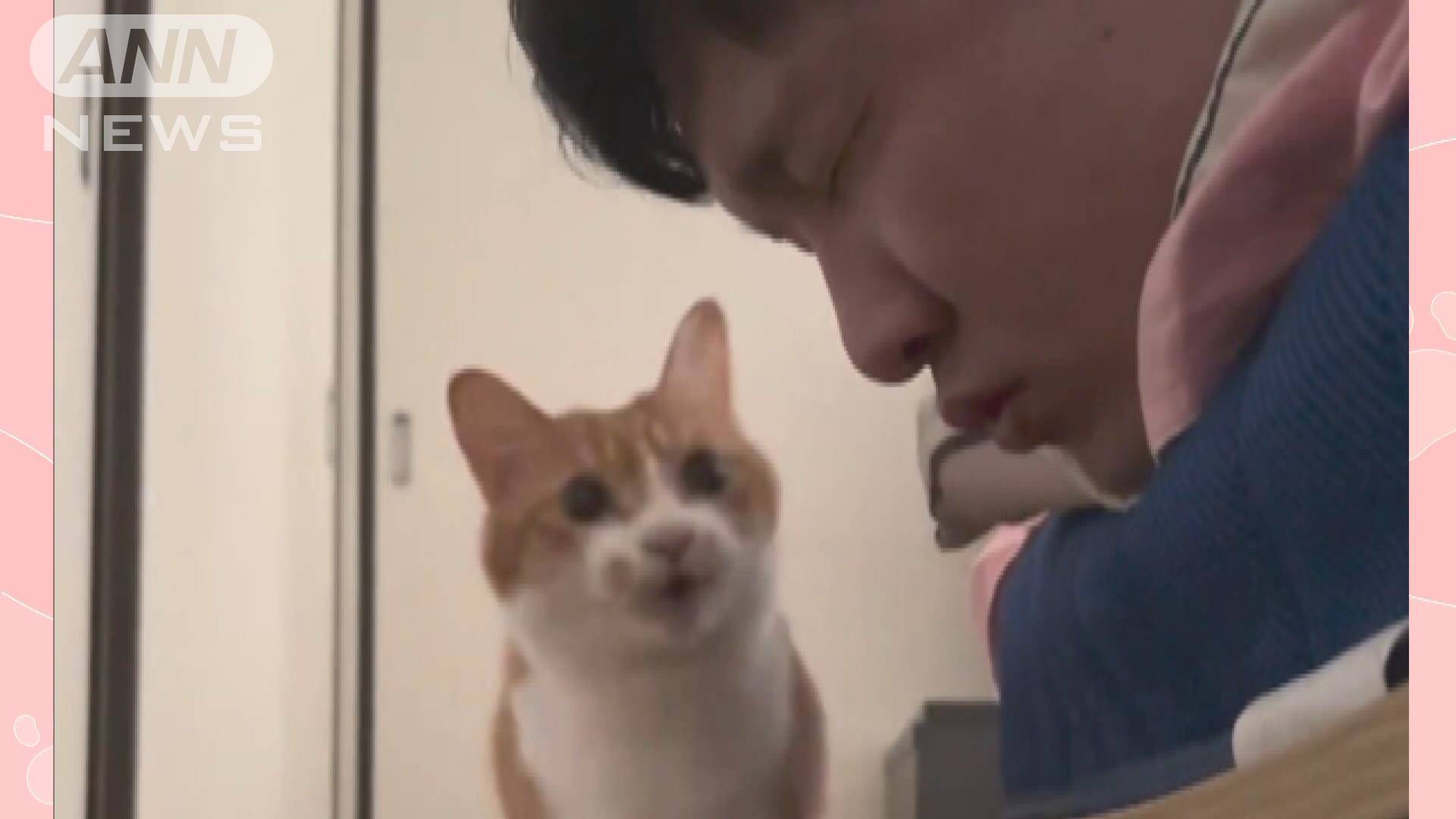 口臭によるネコの驚き？