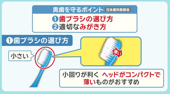 日本歯科医師会　奥歯を守る歯ブラシの選び方
