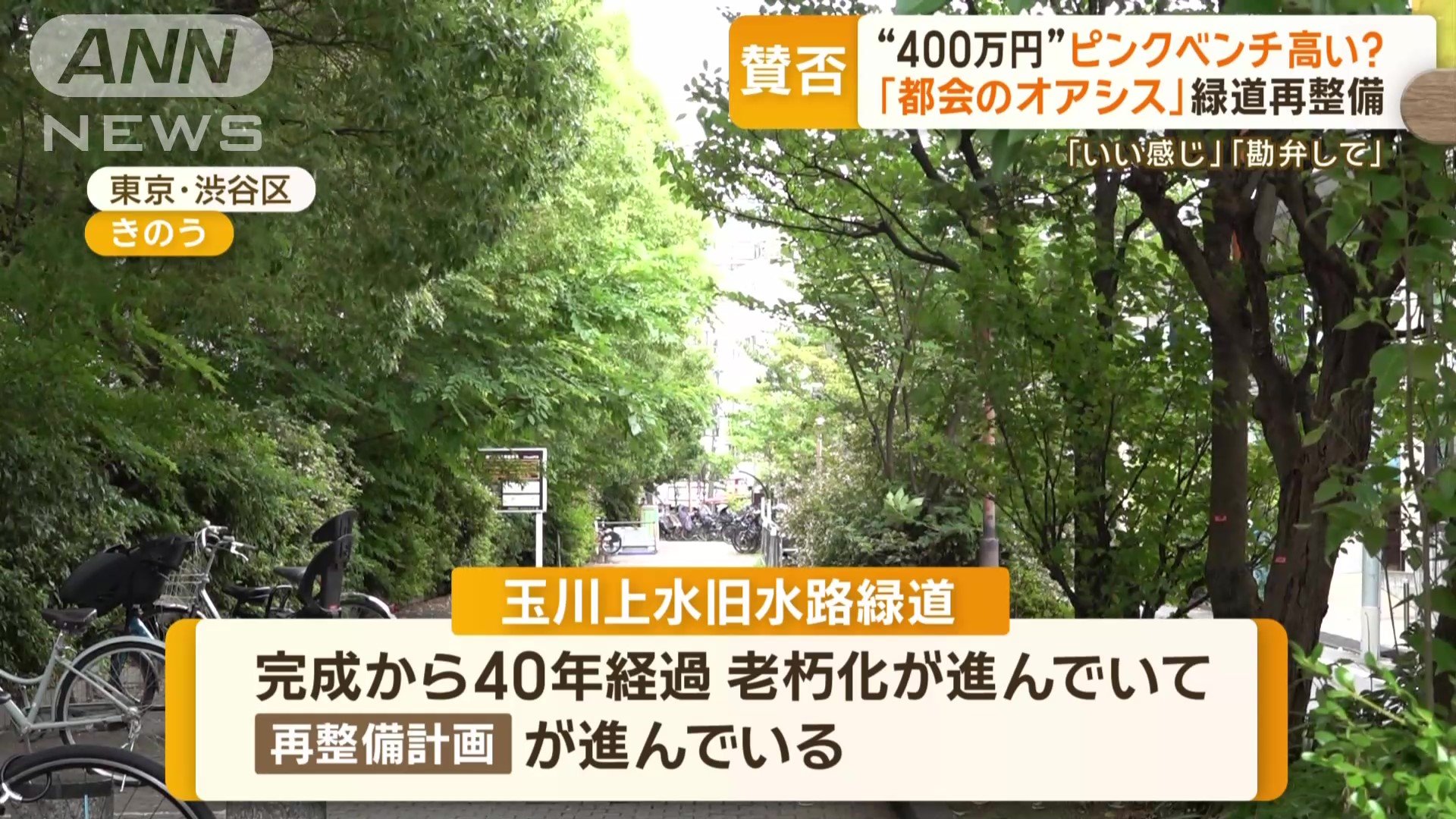 完成から40年経過、老朽化が進み…