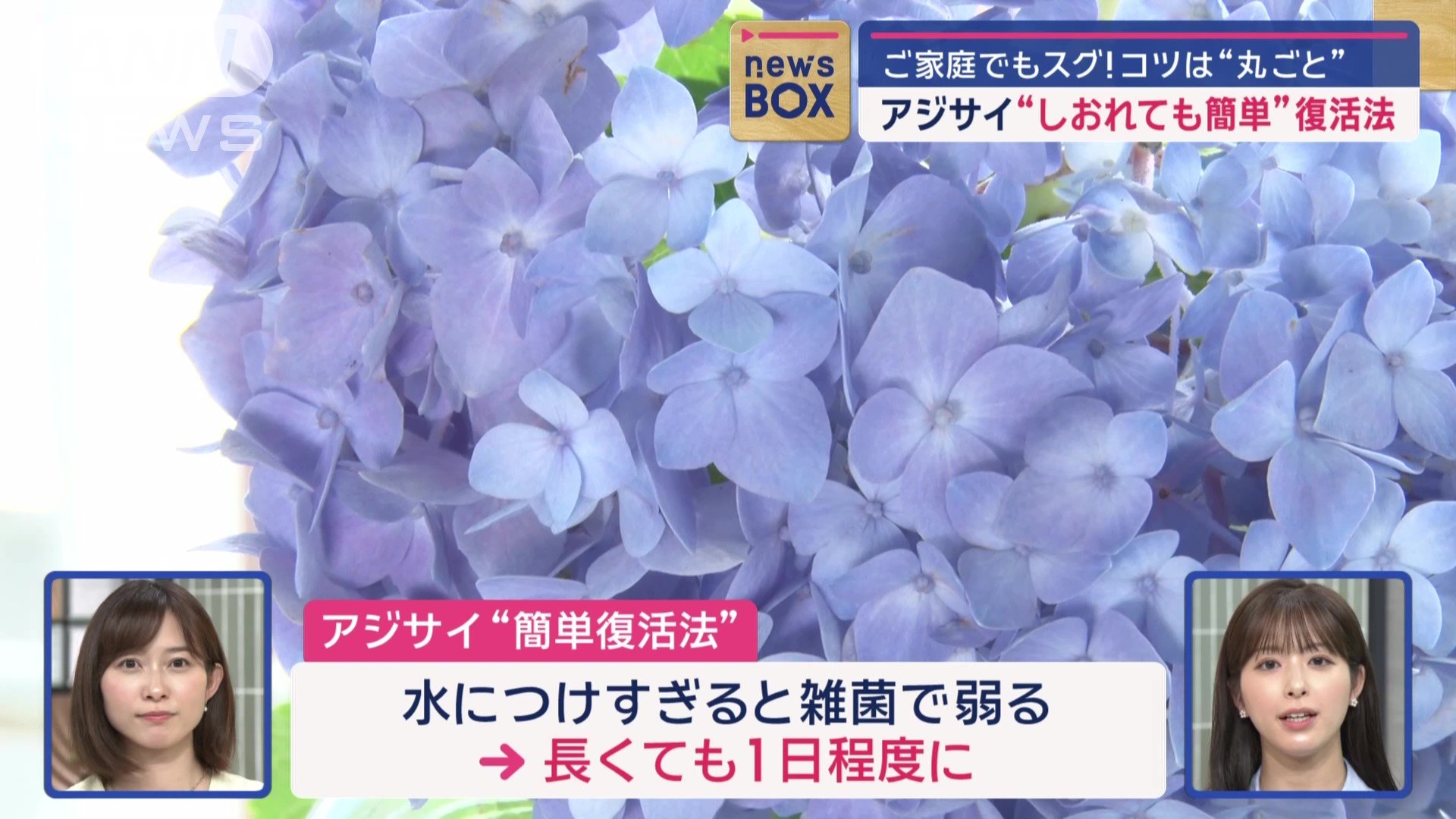注意点