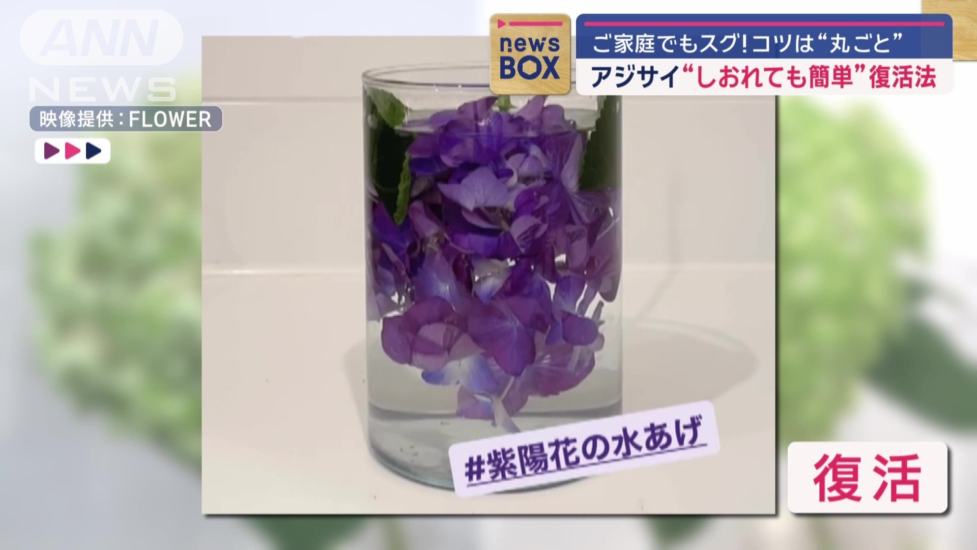 見事に復活