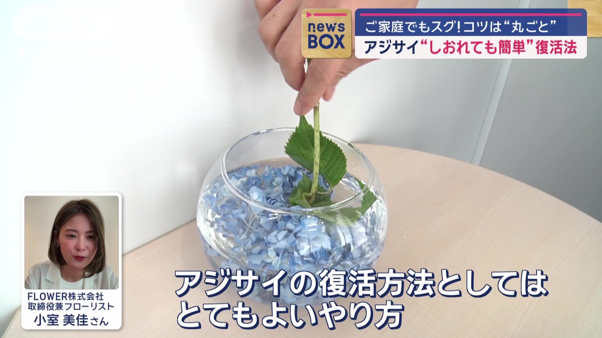「まるごと水につける」とは？