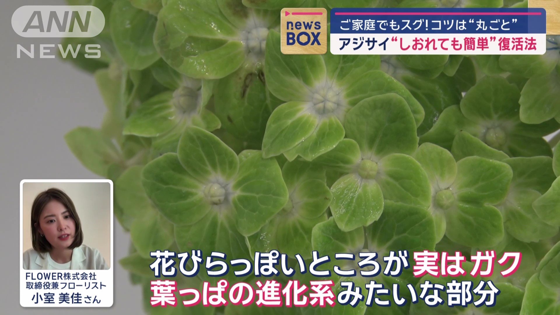 なぜ、丸ごと水につけると復活？