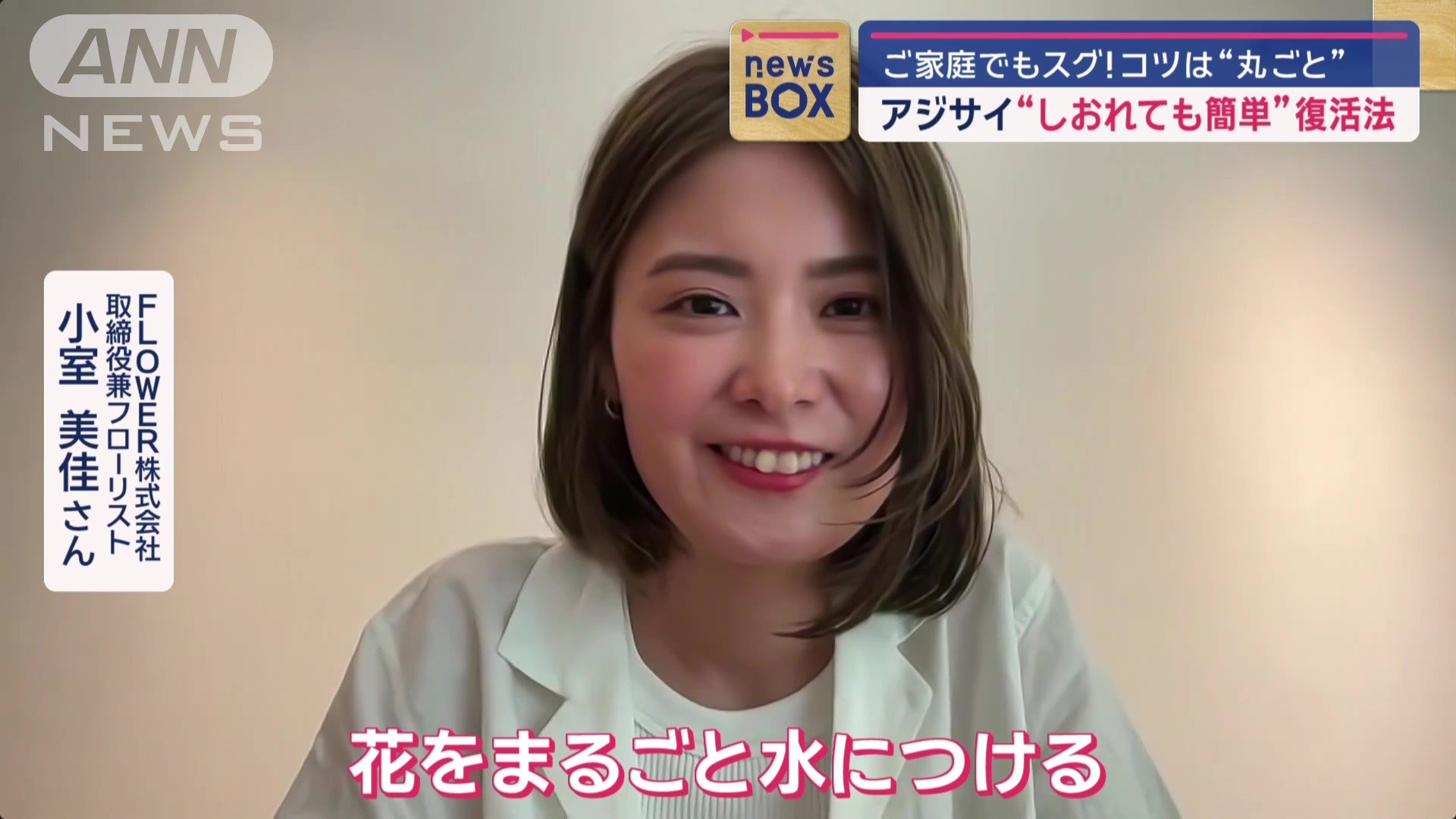 元気のなくなったアジサイを簡単に復活させる方法