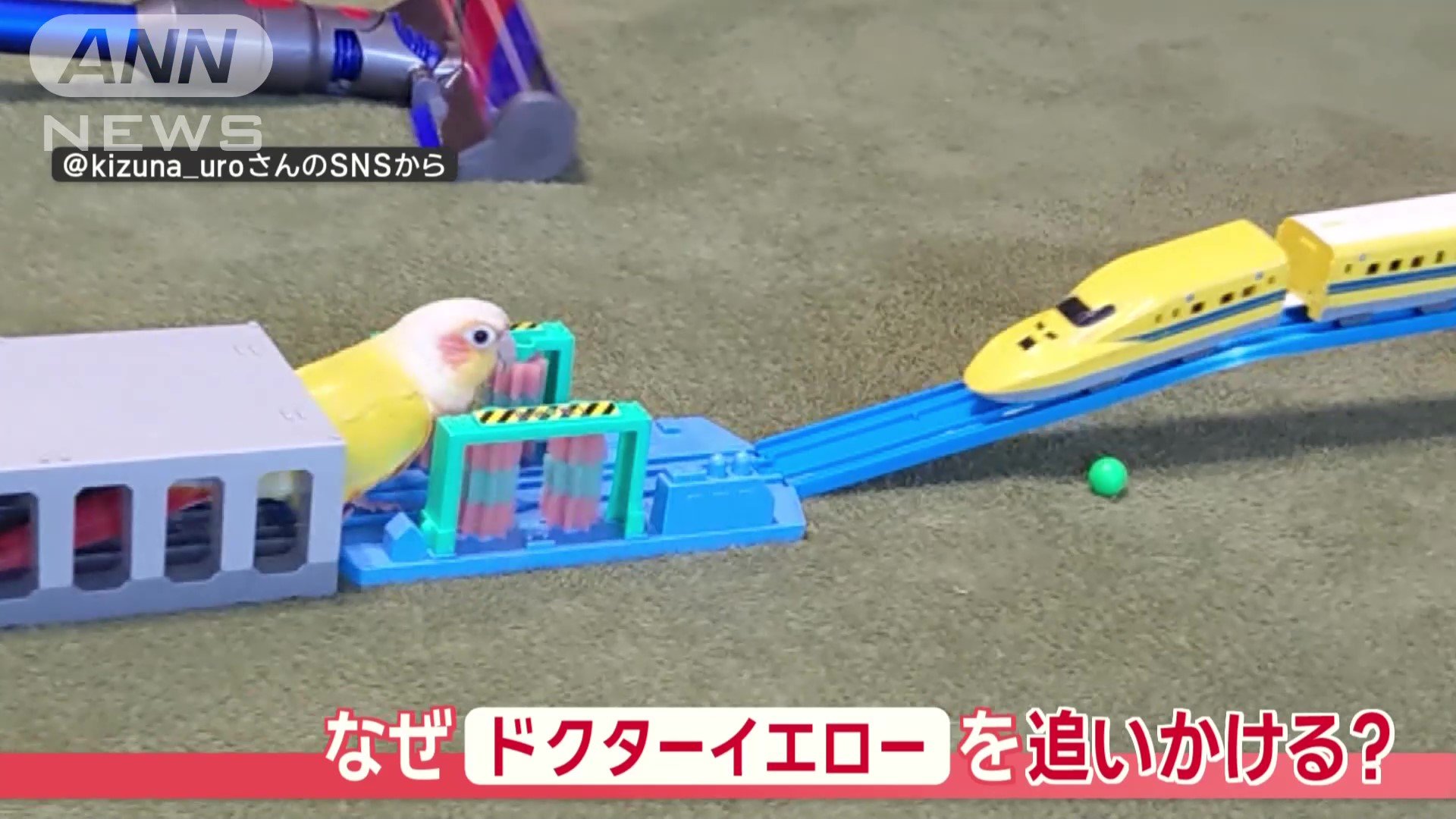 なぜドクターイエローを追いかける？