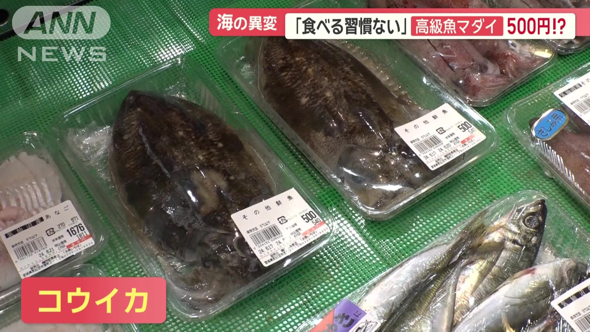 商品名は「コウイカ」ならぬ「その他鮮魚」