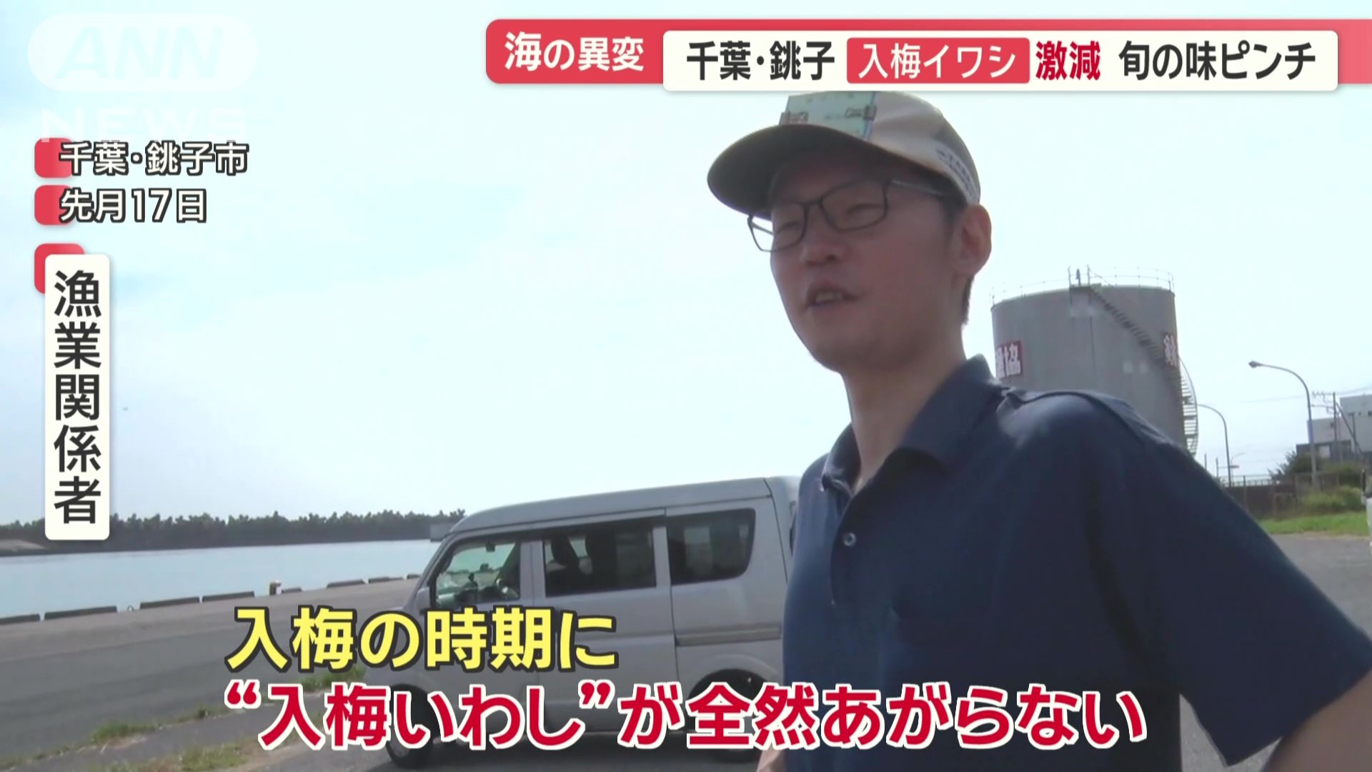 銚子漁港では“入梅いわし”激減