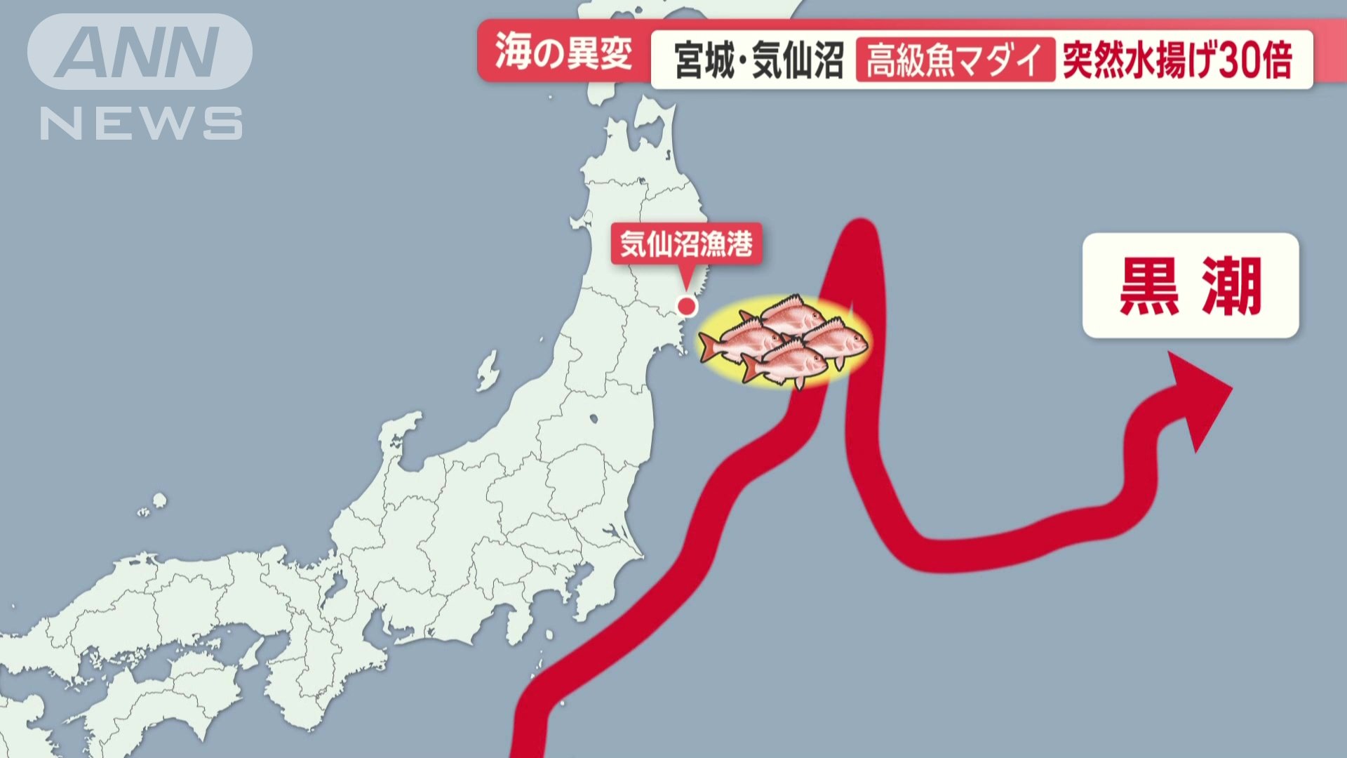 暖かい黒潮に流され定着？