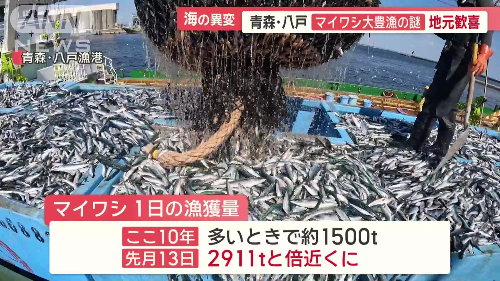 大豊漁