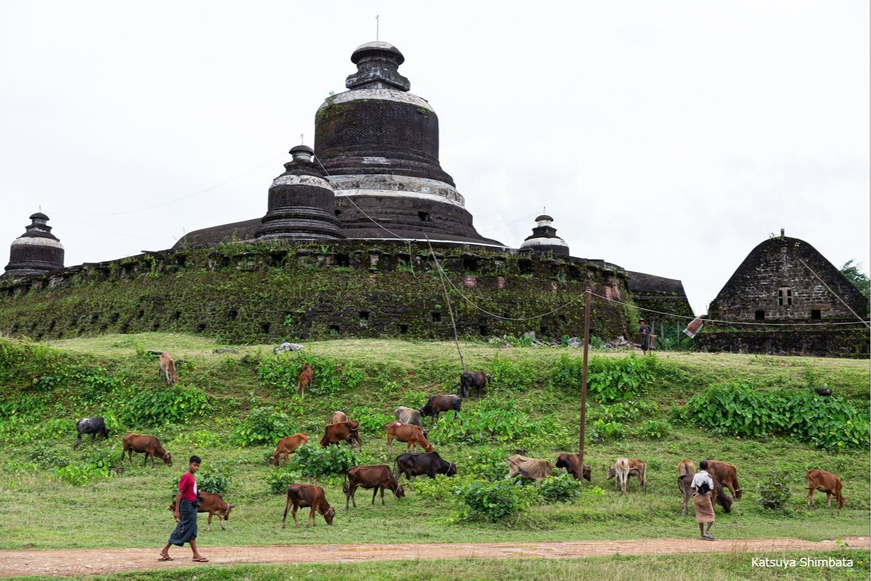 ダッカンゼイン寺院　ミャンマー西部ラカイン州ミャウー中心部　 2015年10月　撮影・新畑克也