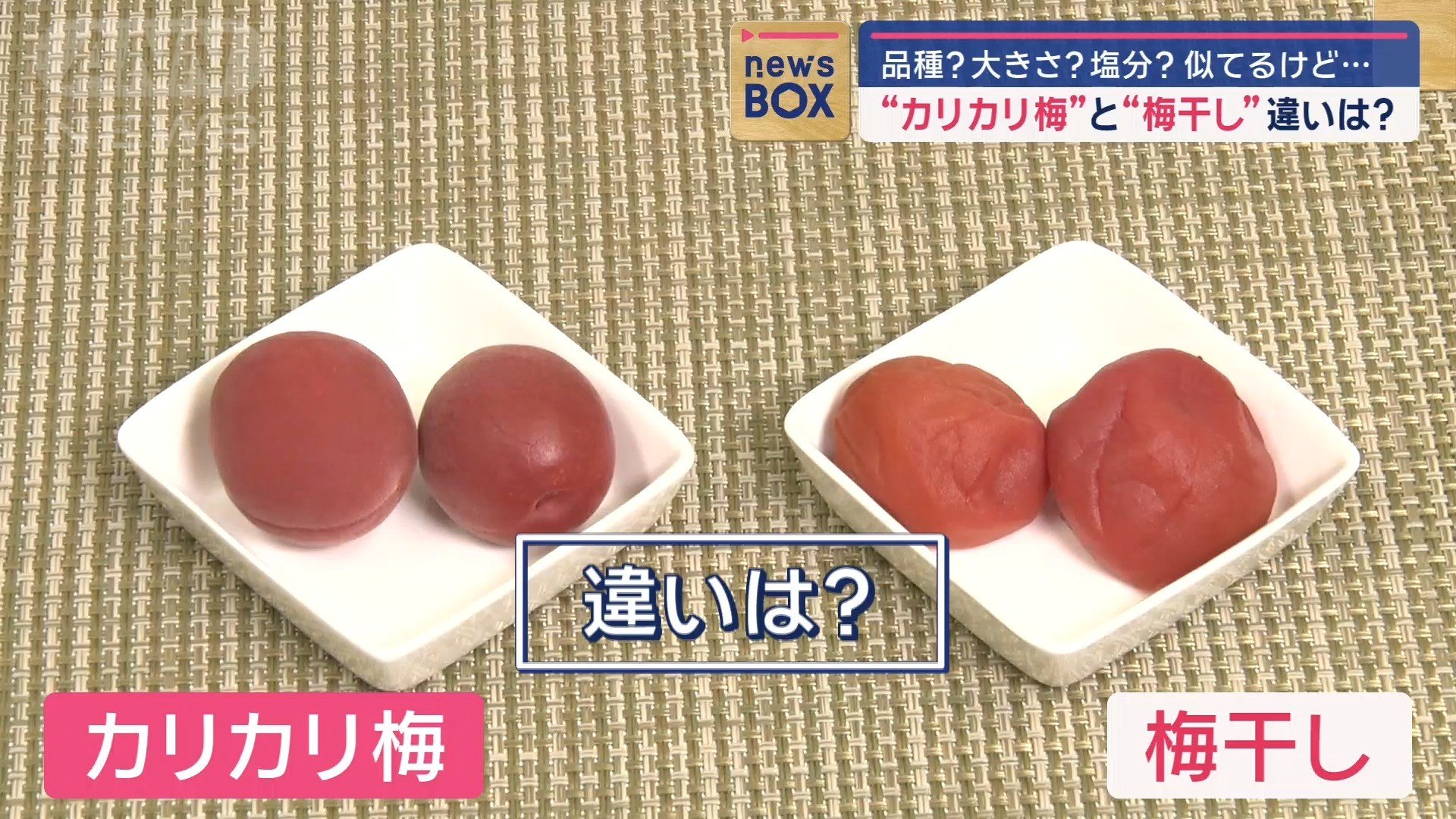 2つの違いは？