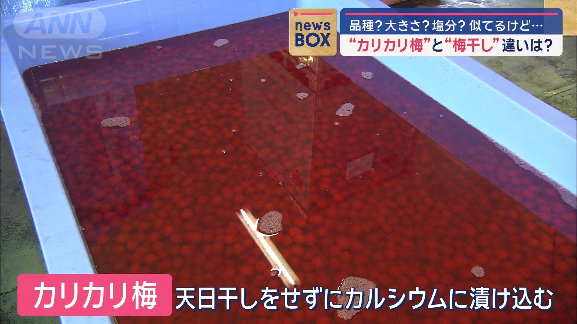 カルシウムに漬け込む