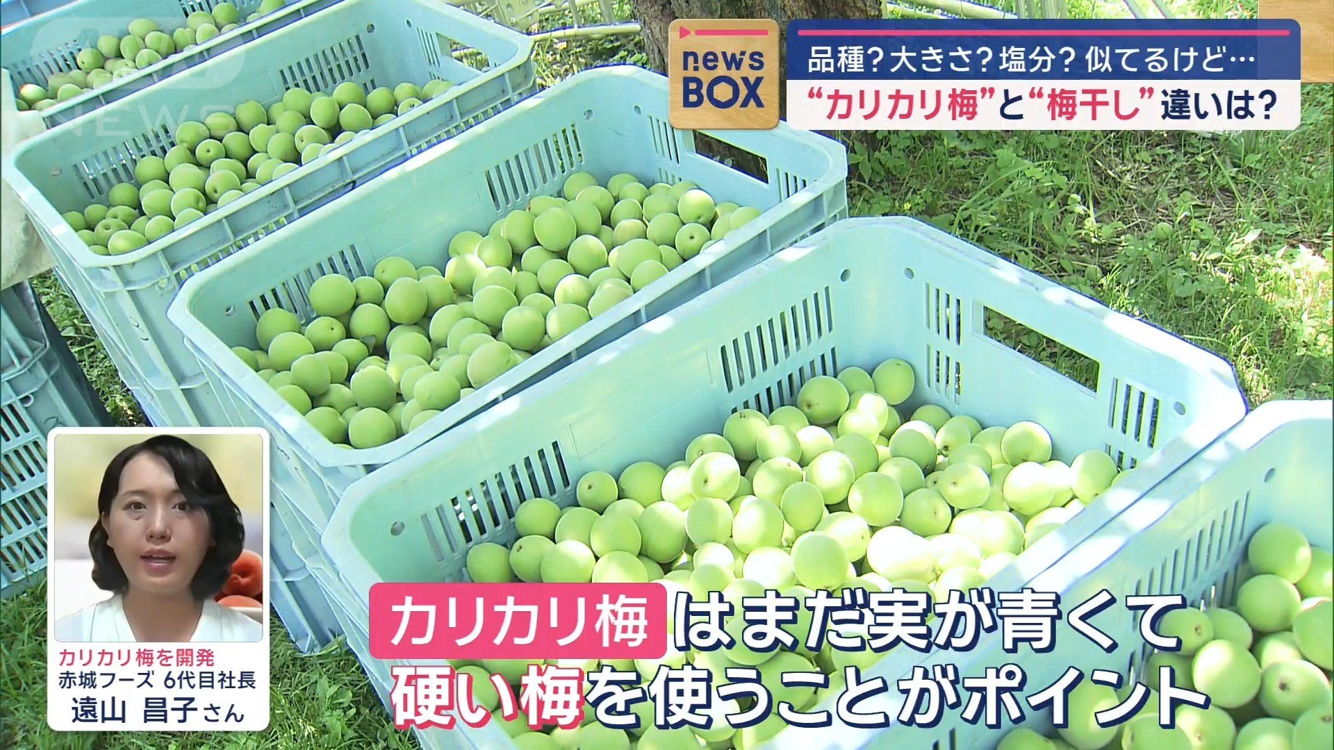 実が青くて硬い梅を使用