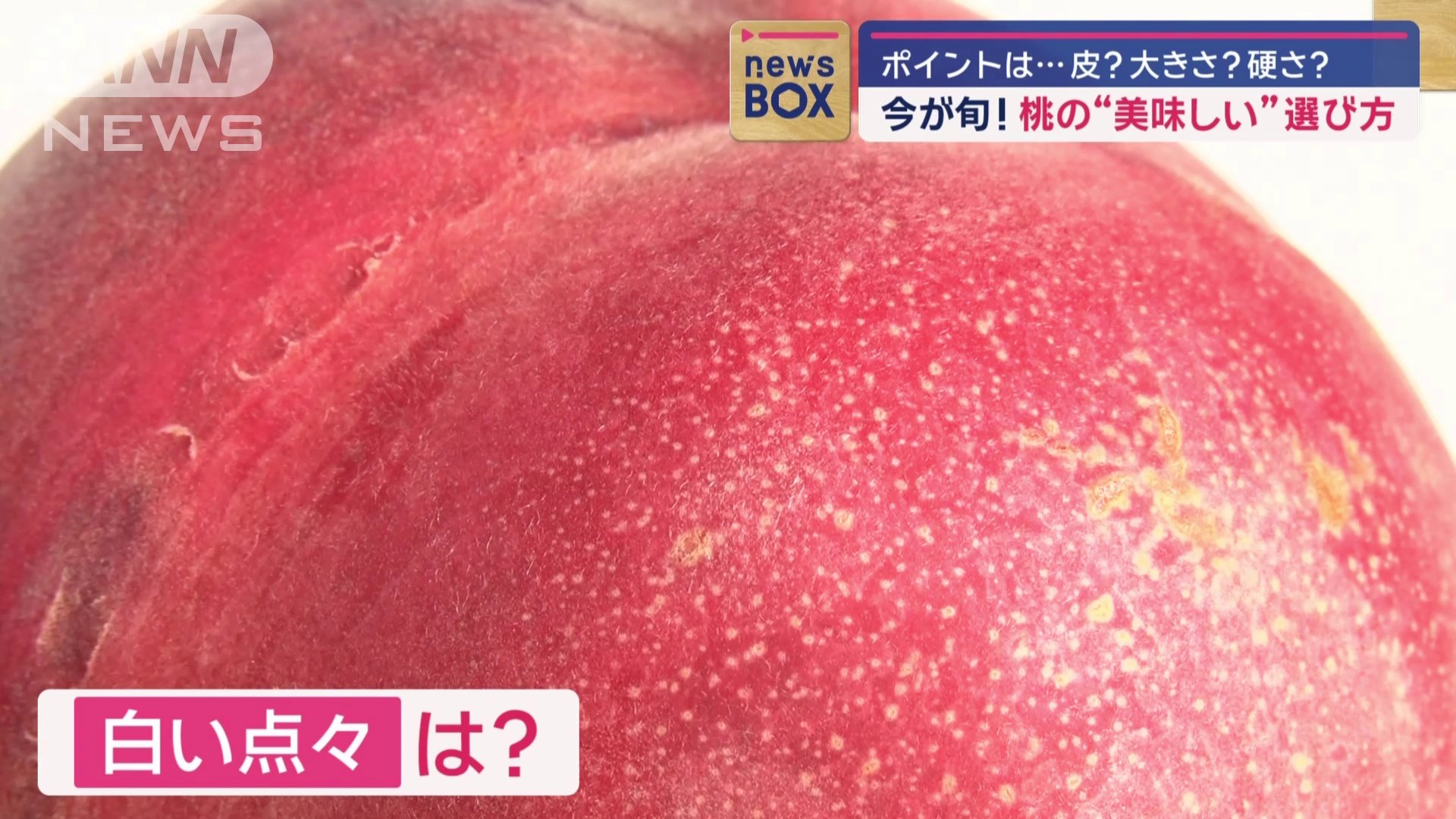 シュガースポット？
