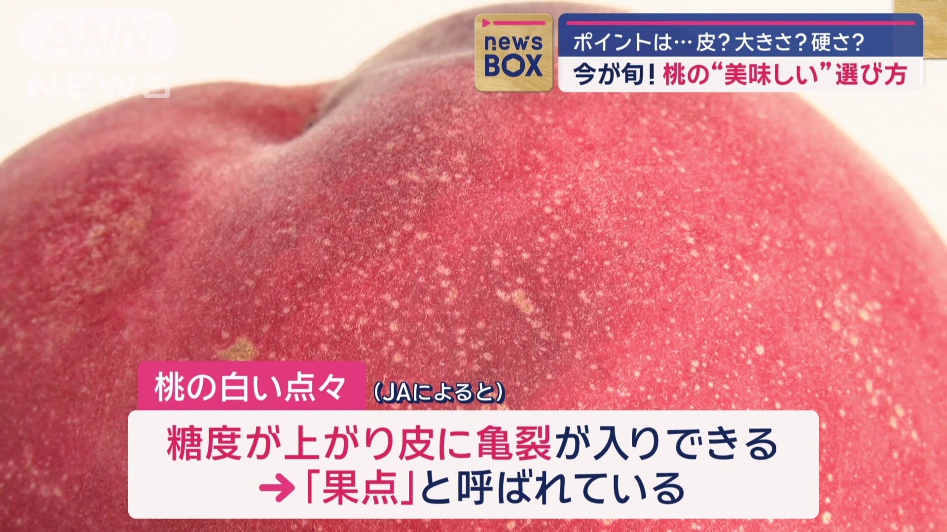 「果点」