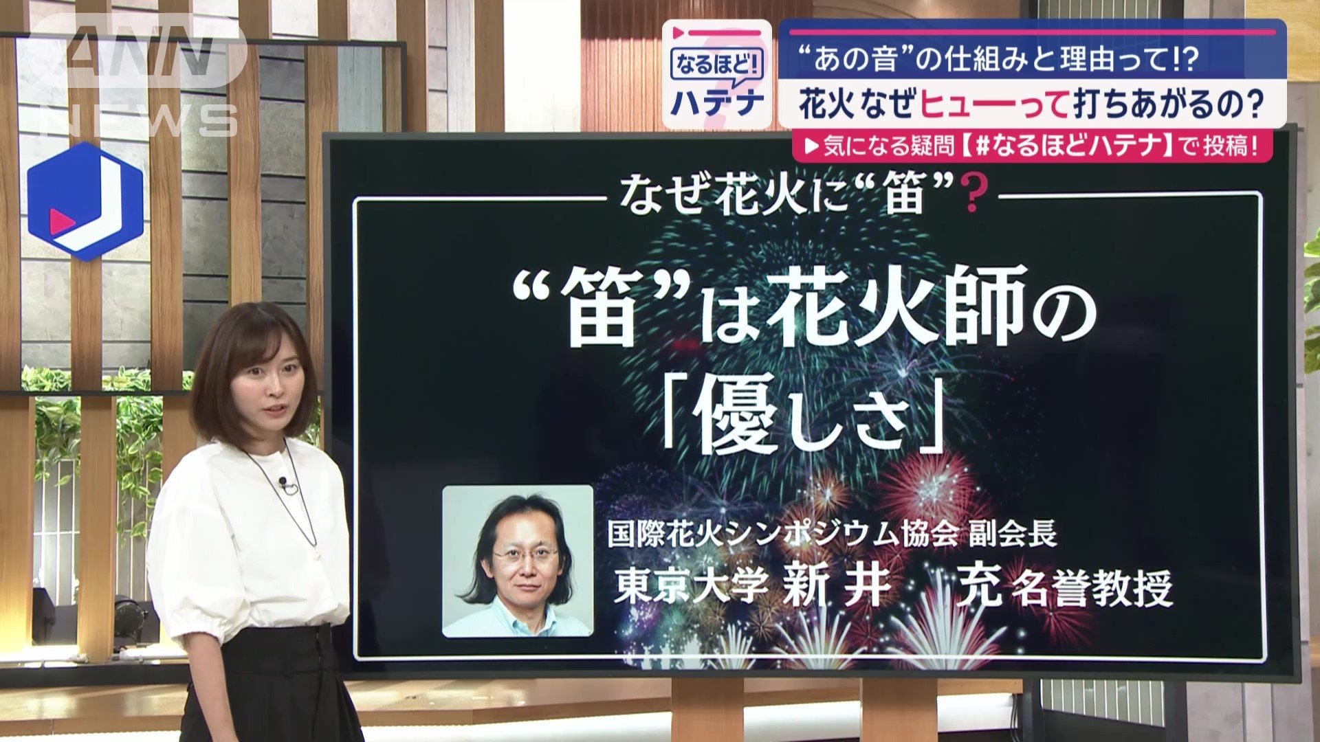 国際花火シンポジウム協会副会長　東京大学・新井充名誉教授