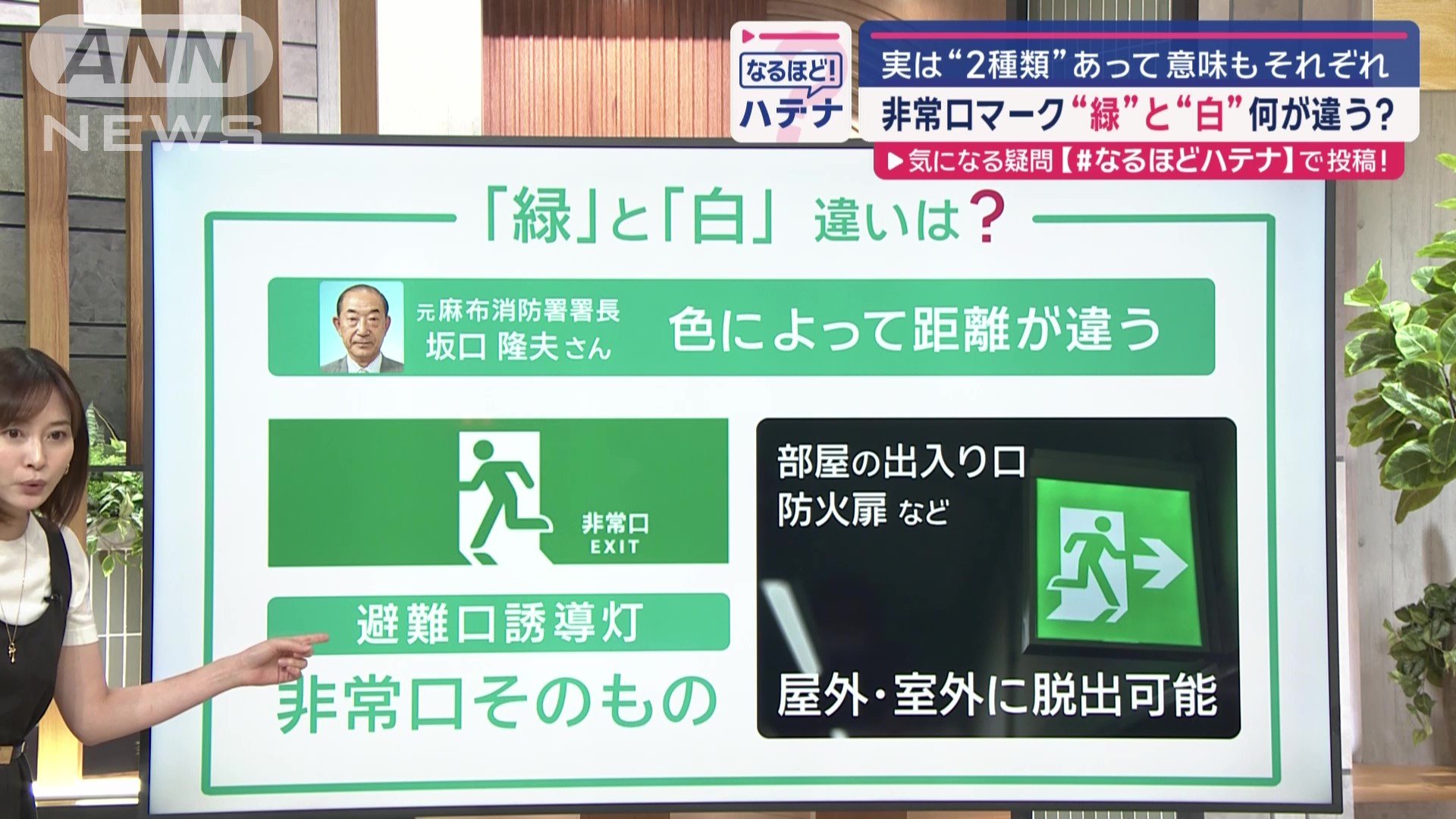 緑と白の違い