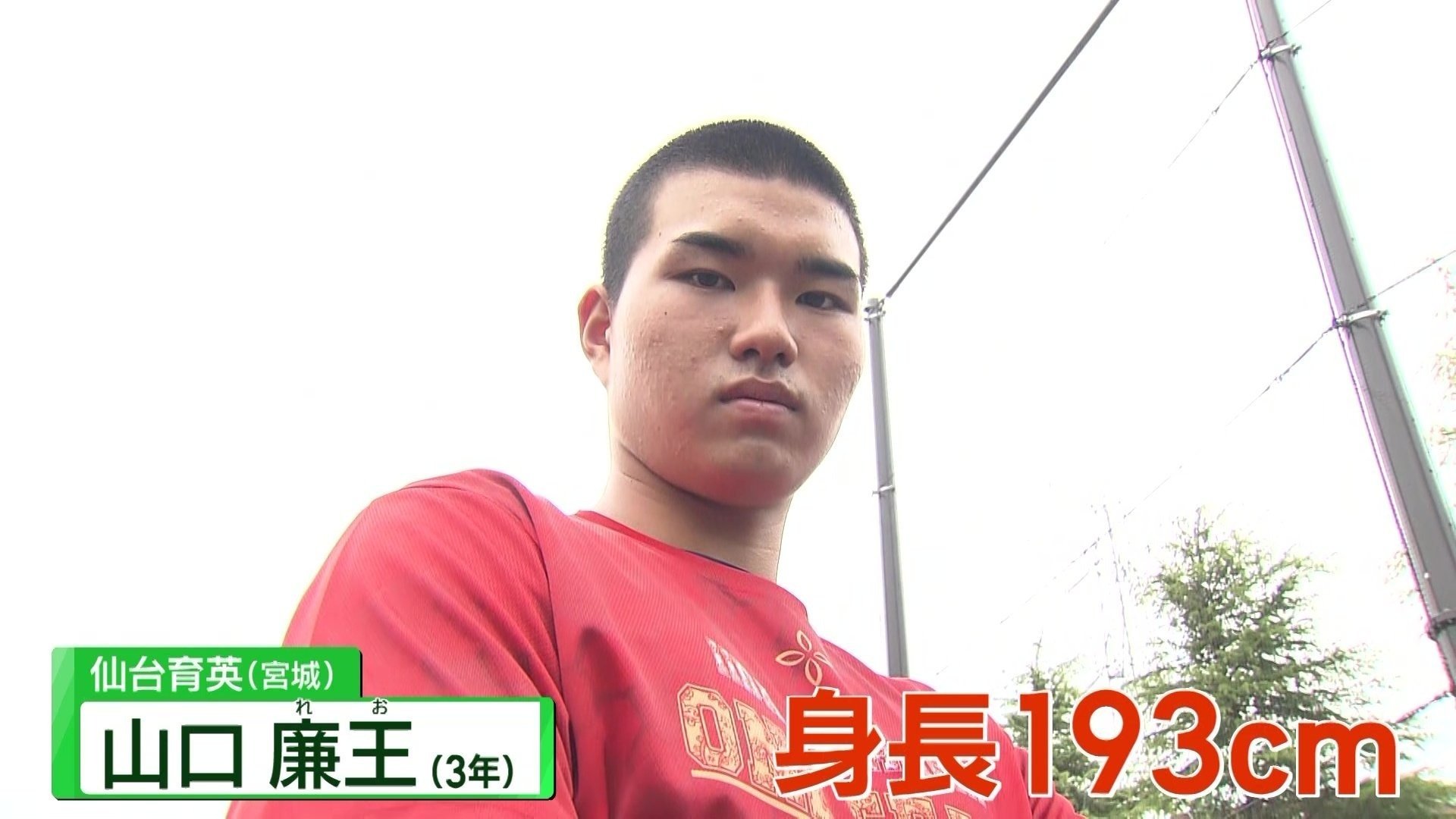 仙台育英（宮城）　山口廉王（3年）