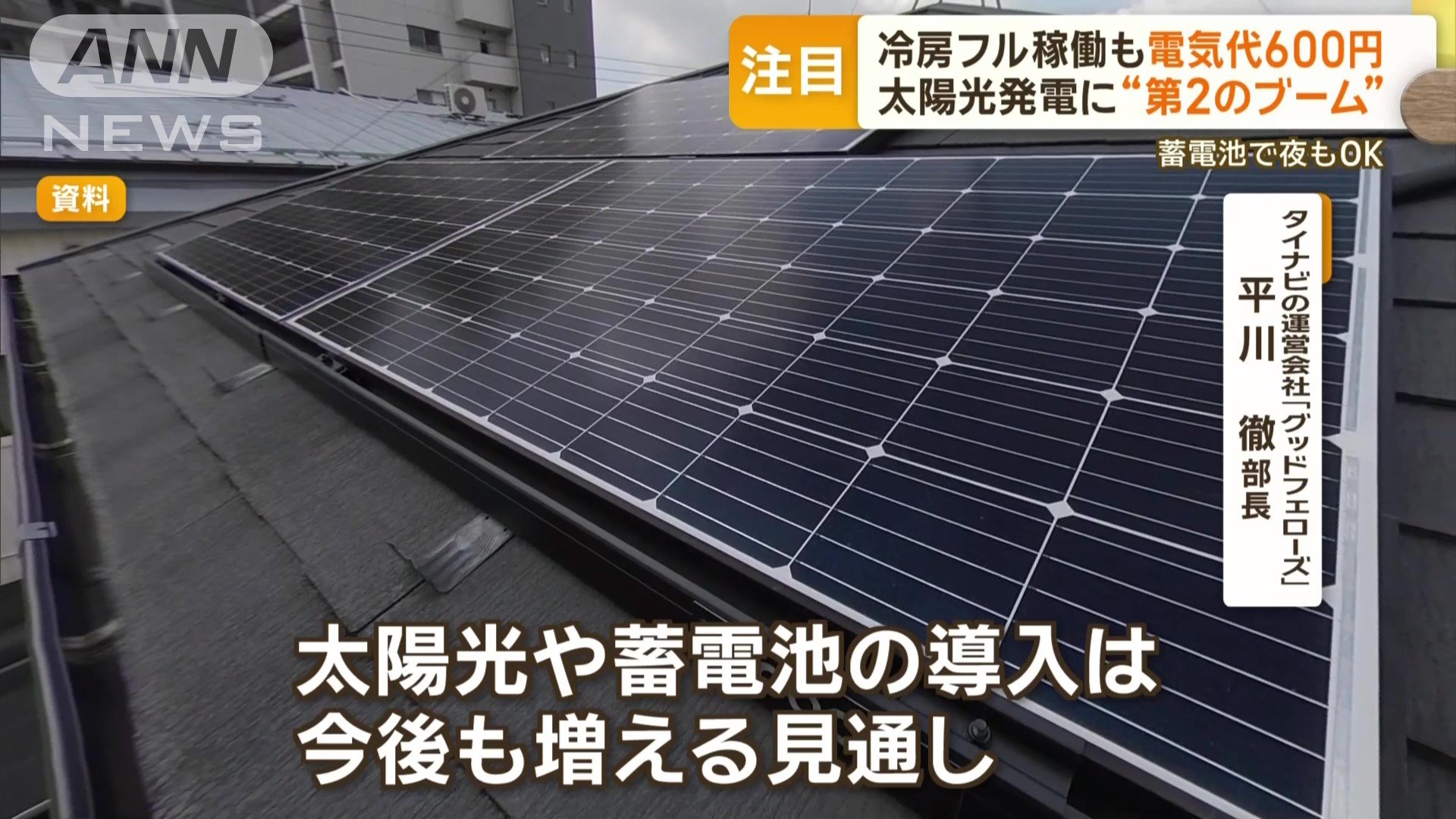 「太陽光や蓄電池の導入は今後も増える見通し」