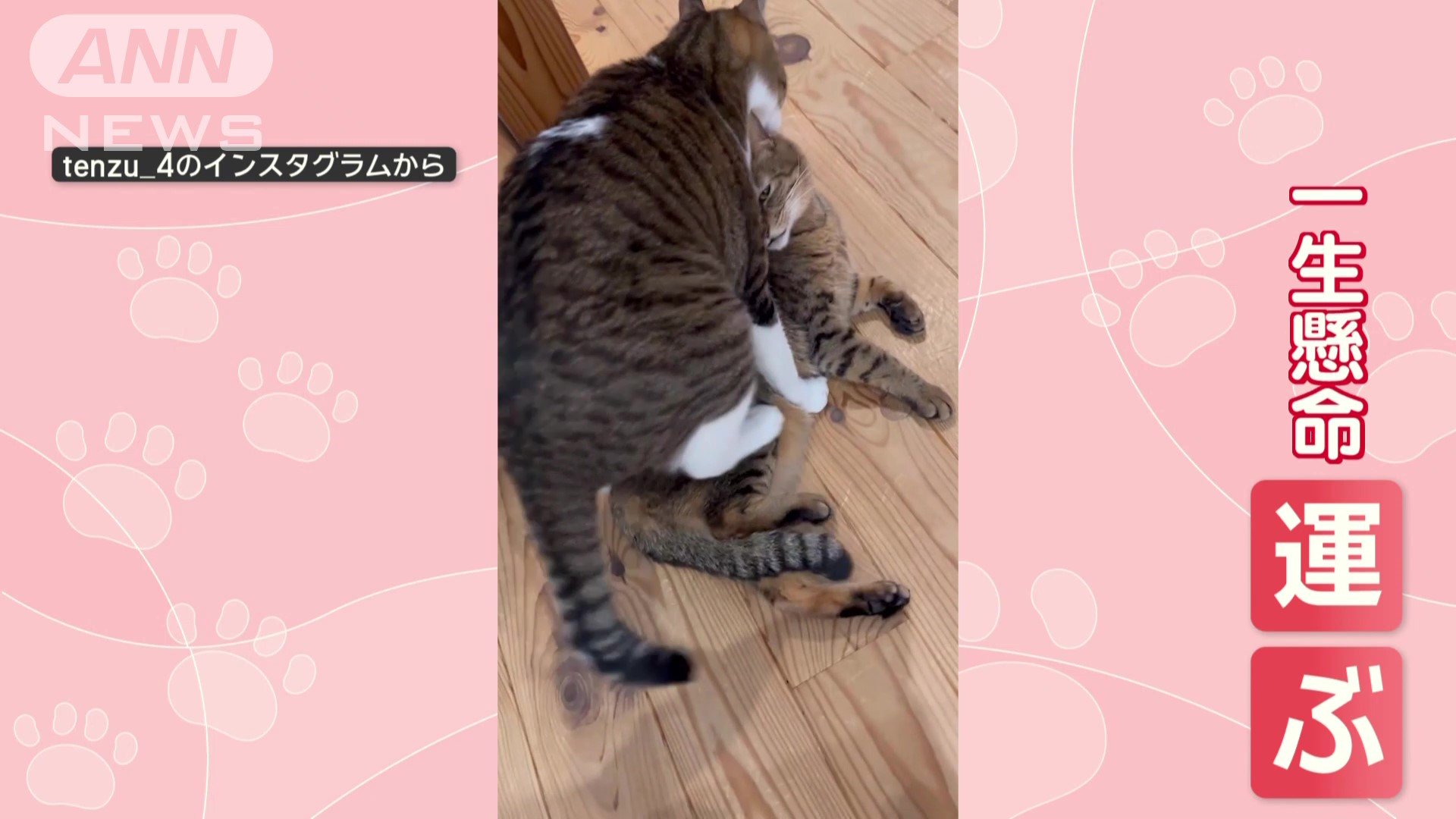 別の日も