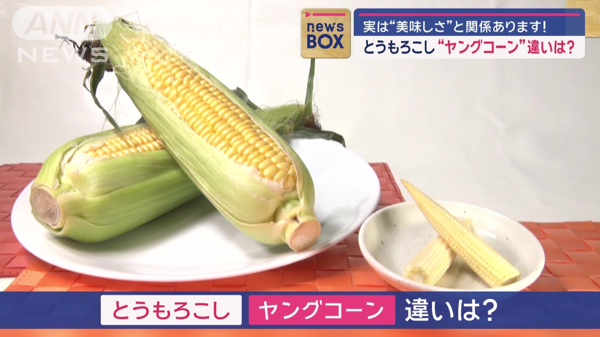 とうもろこしとヤングコーンの違いは？