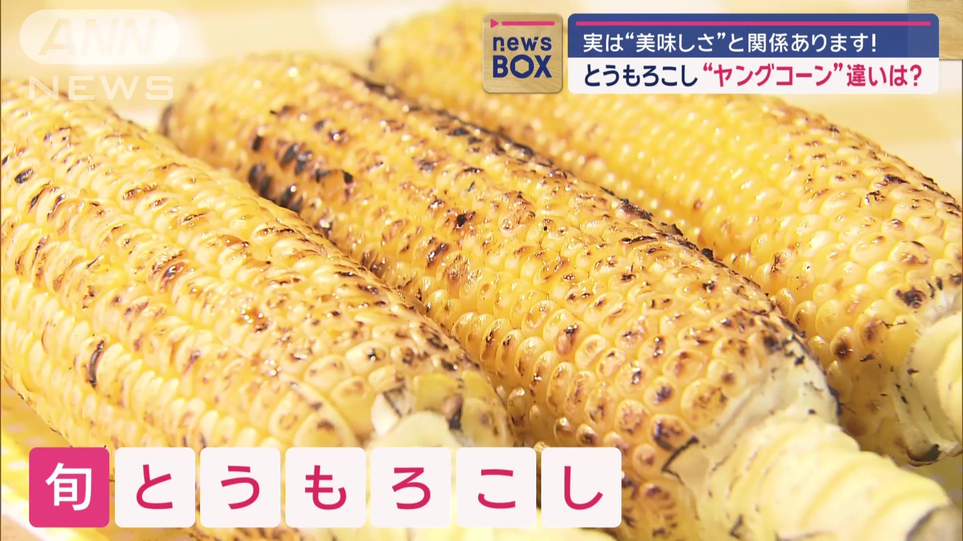 今が旬のとうもろこし