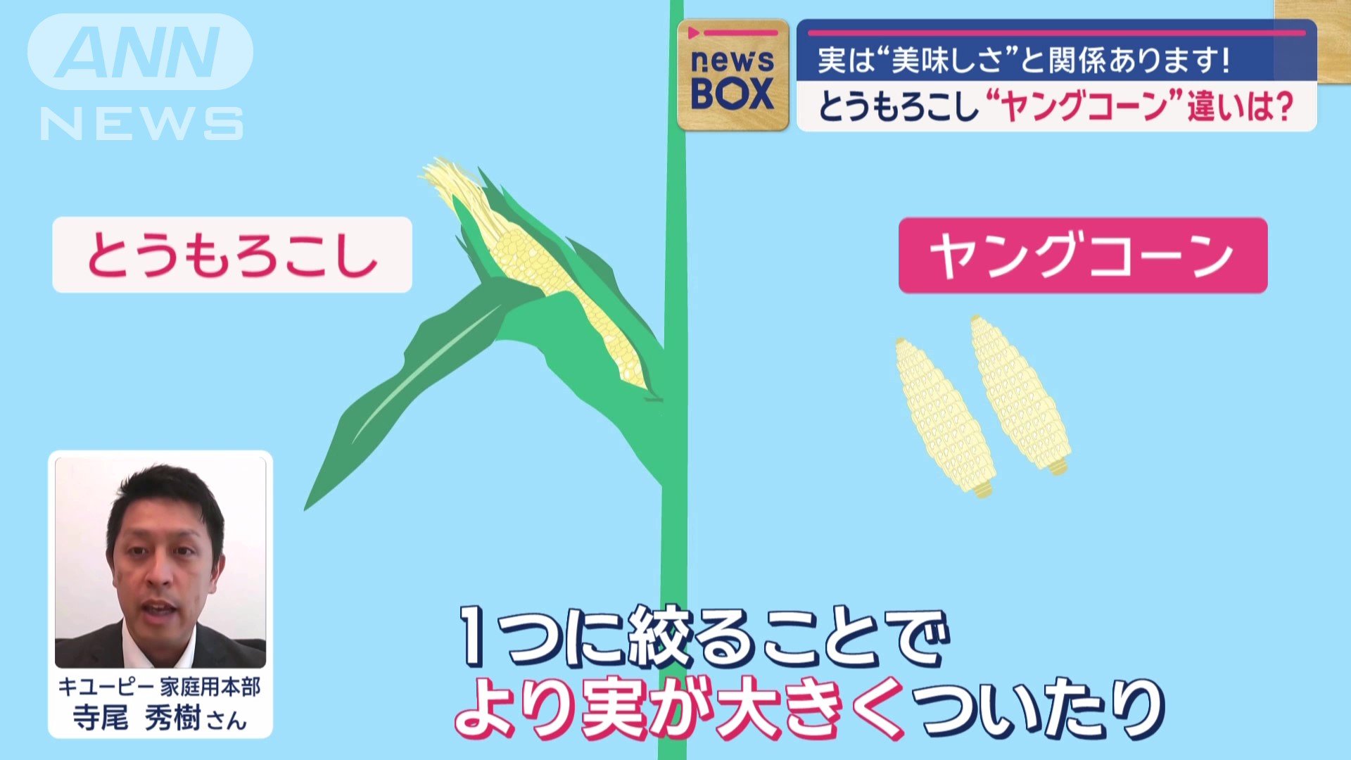 1つに絞ることでより実が大きくつく