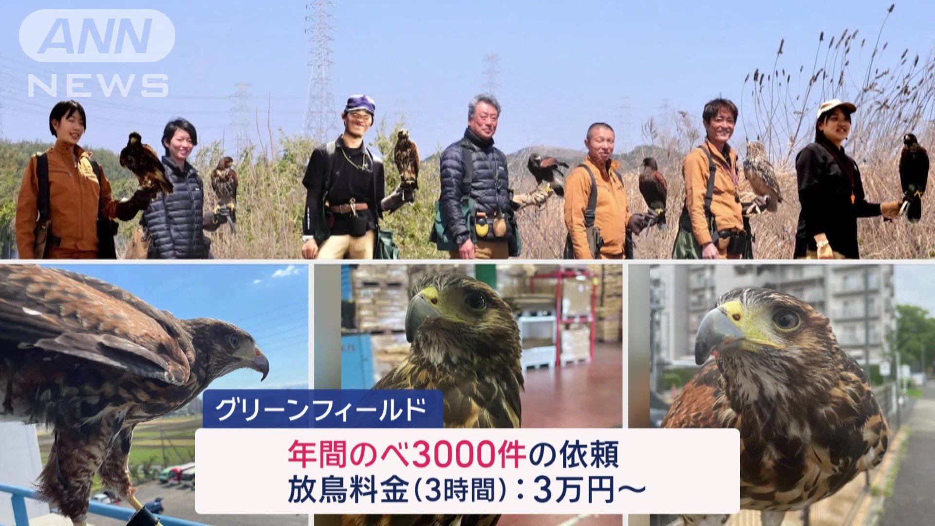 田中さんの会社には、3000件を超える依頼が